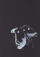 http://www.actionaqua.com/files/gimgs/th-111_Scan feb 17 7_v2.jpg